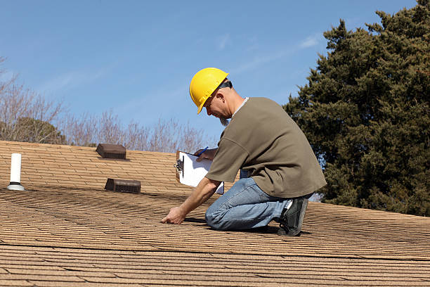 Best Roof Moss and Algae Removal  in India Hook, SC
